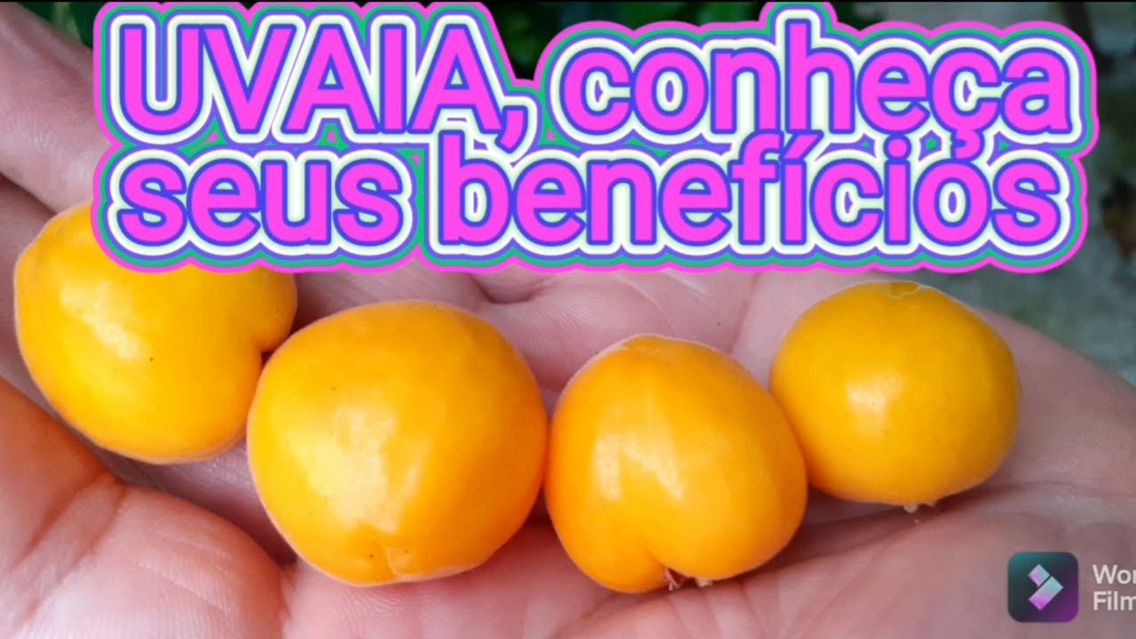 UVAIA,conheça seus benefícios, nativa do Brasil, compartilhe