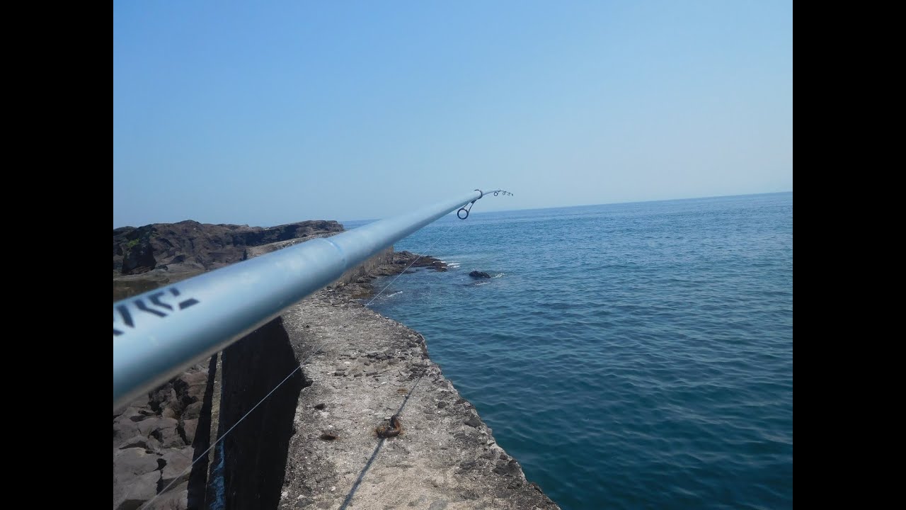 真鶴半島・根魚釣行２０２４年７月上旬