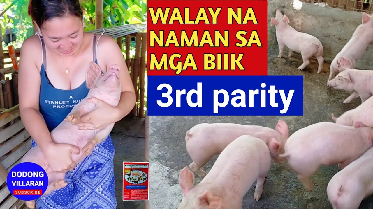 WALAY NA NAMAN SA MGA BIIK / 3rd Parity / Dodong Villaran