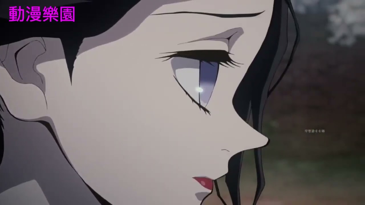 【鬼灭之刃】 11 珠世血鬼术