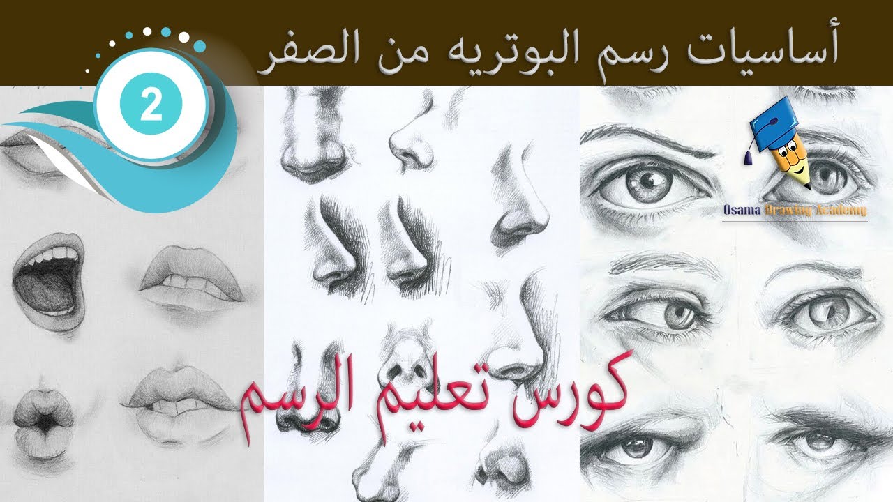 تعليم الرسم | شرح اساسيات الرسم من الصفر  | كيف ابدأ الرسم من الصفر | اساسيات الرسم بالرصاص