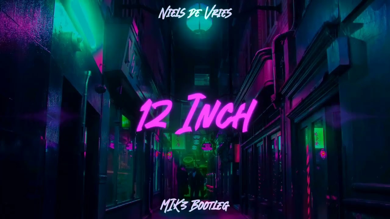 Niels de Vries - 12 Inch (MIK3 BOOTLEG 2K24)