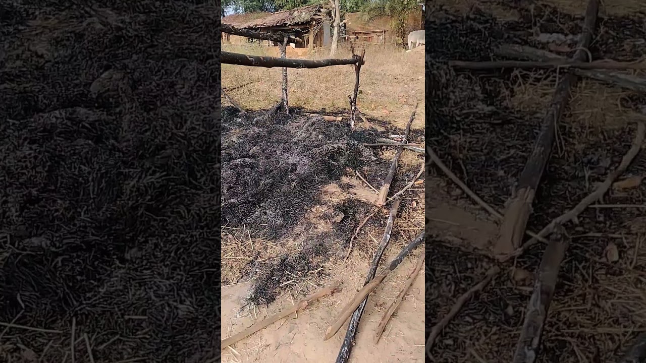 Jawano ka AC Room Jal Gya #shortvideo #tribalunity #dance