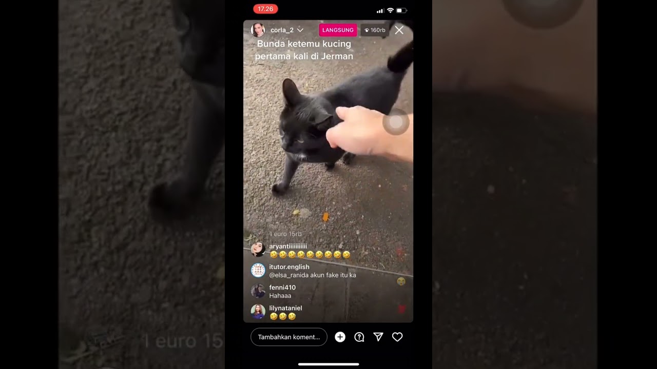 Bunda Corla Ketemu Kucing untuk  Pertama kalinya di Jerman, Begini Reaksinya!