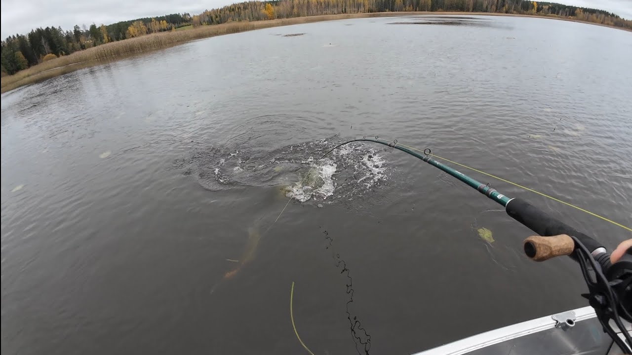 HAUKEA MATALASTA LAHDESTA | PIKE FISHING IN AUTUMN