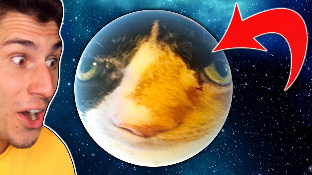 My Cat Roxie IS IN SOLAR SMASH!