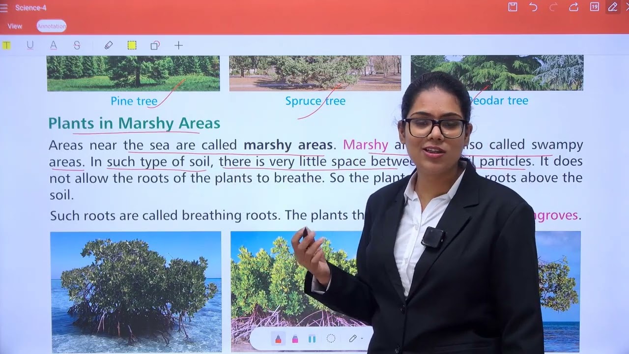CHAPTER 2 ADAPTATIONS IN PLANTS | SCIENCE 4