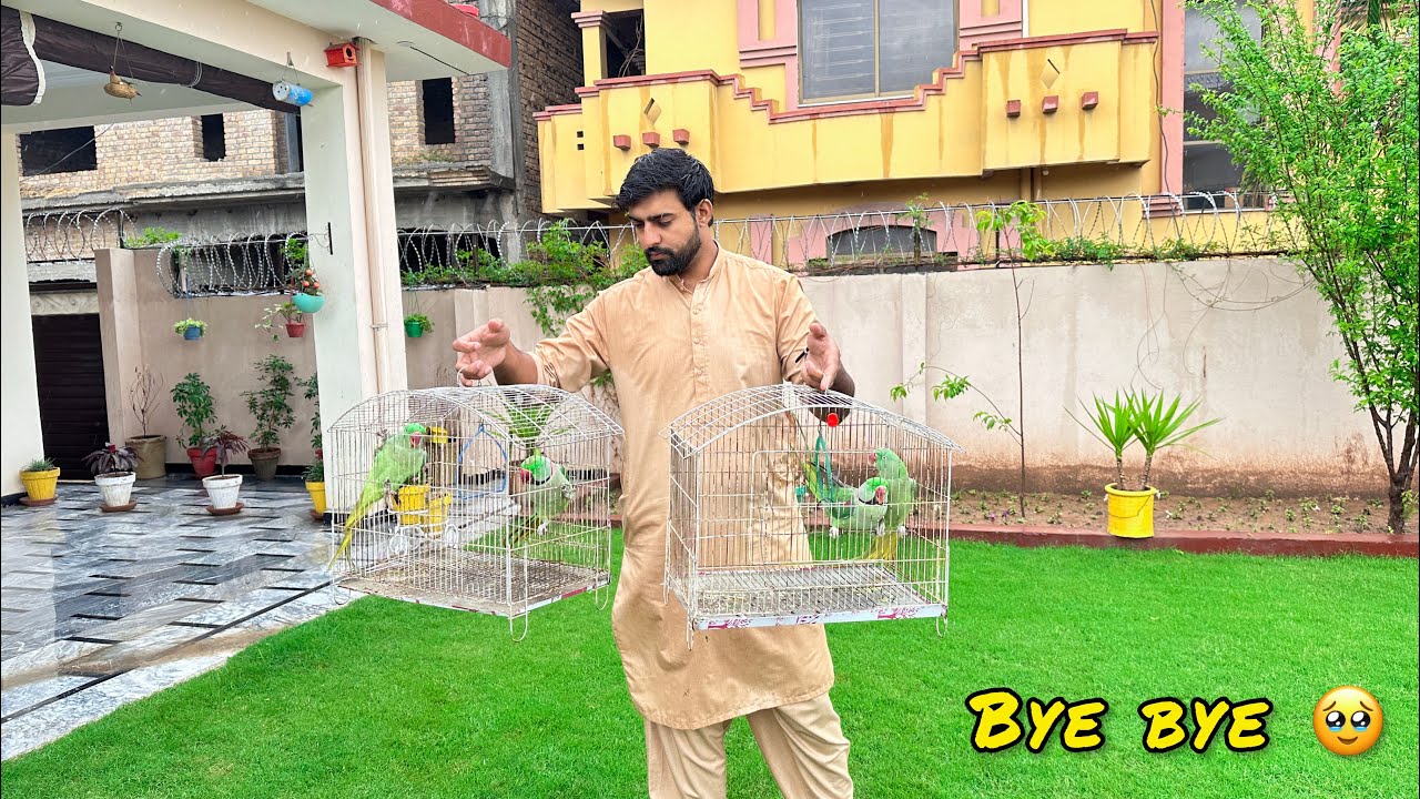 Inko Ab Or Nhi Rakh Skty 🙁