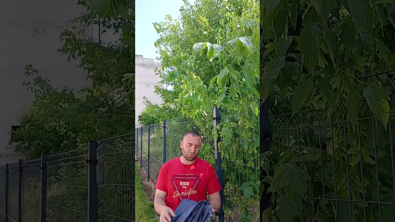Velika skupoća