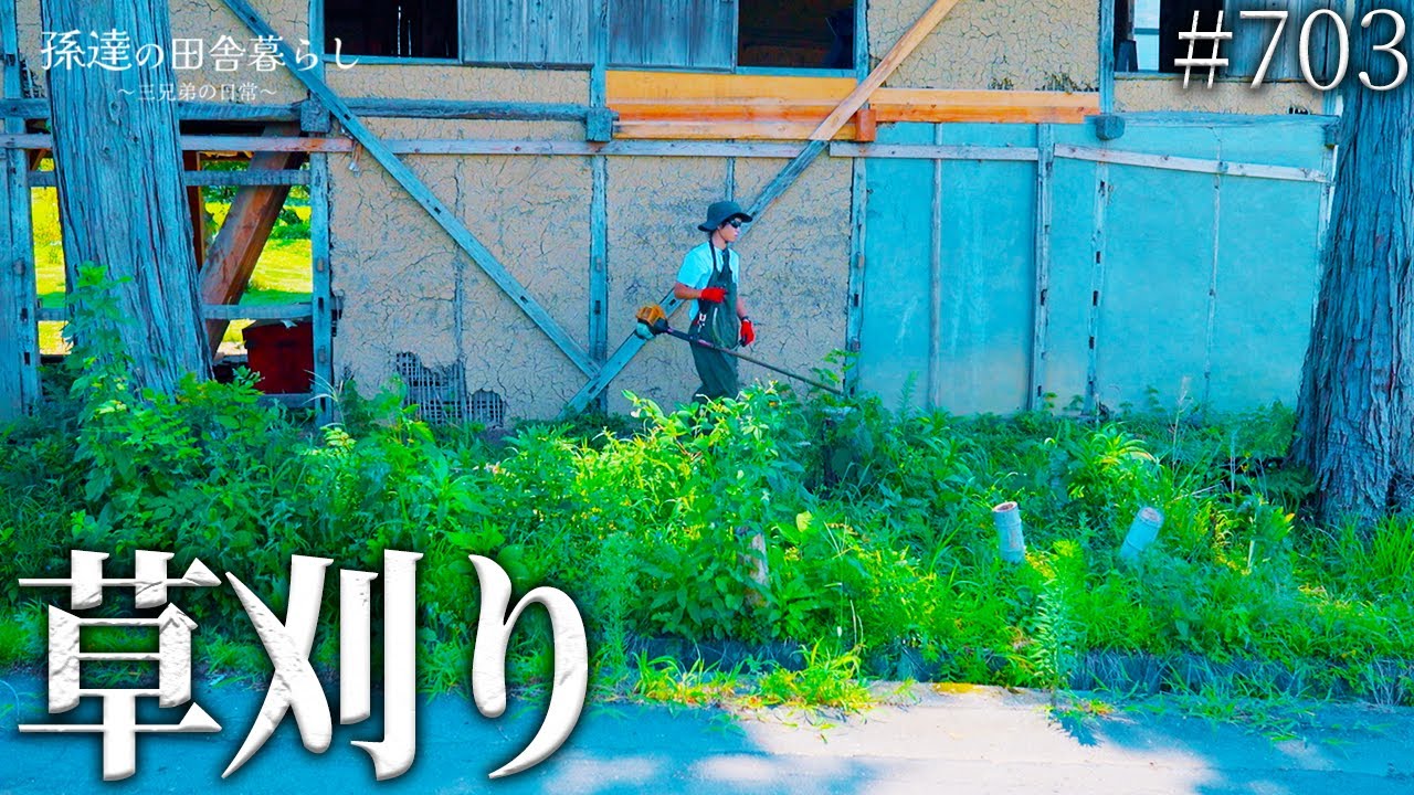 【ビフォーアフター】納屋裏の雑草が大変な事に…猛暑の中綺麗な庭へ大変身! #703