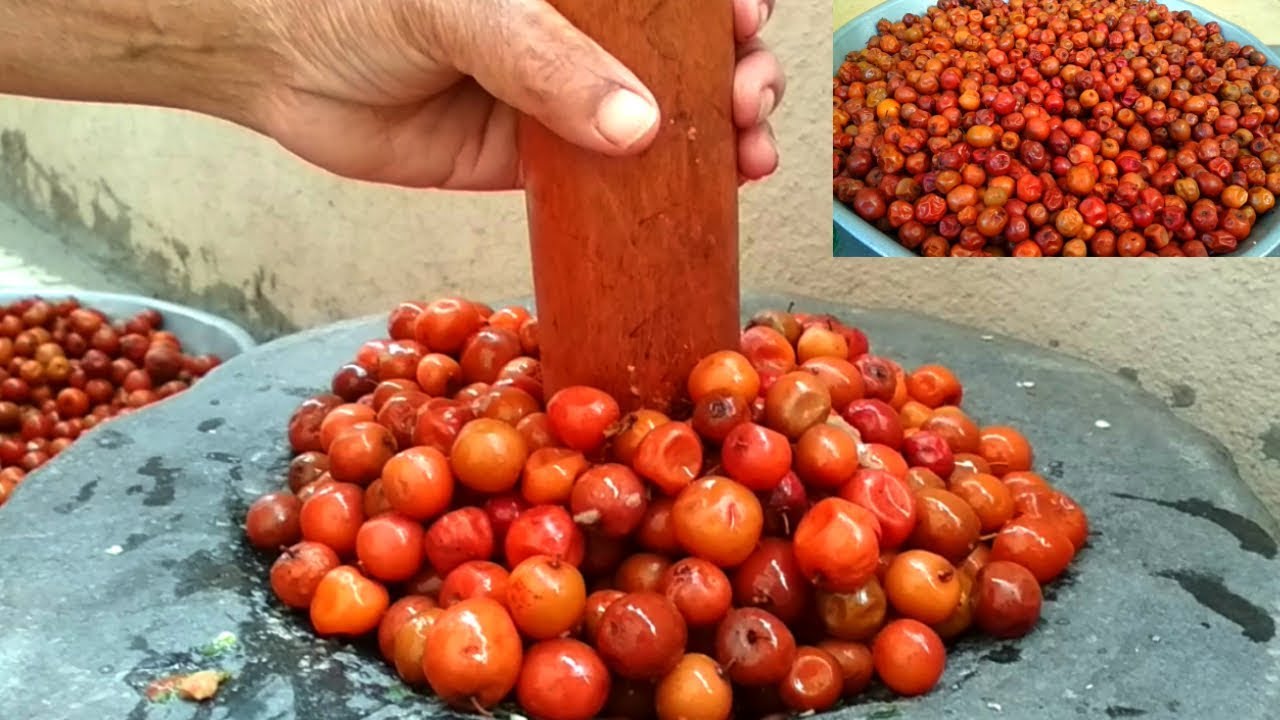 Sweet & Sour Jujube Fruits Recipe || Making Traditional Indian Berries Pickle || With English Sub