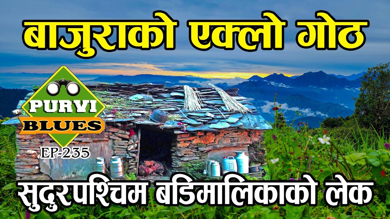 बाजुराको लेकमा एक्लो गोठ || बडिमालिका यात्रा बाजुरा || Badimalika Trip Bajura