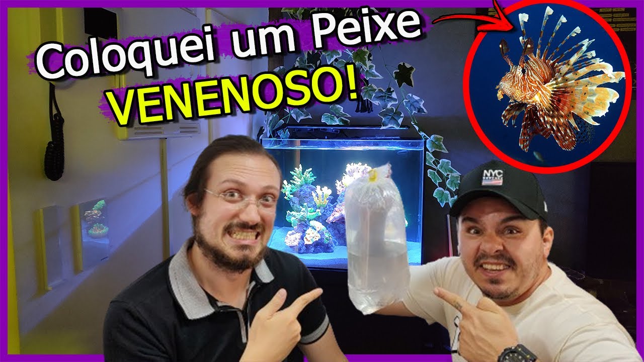 Coloquei o Peixe mais VENENOSO do MUNDO no Aquário Marinho de Corais Artificiais!