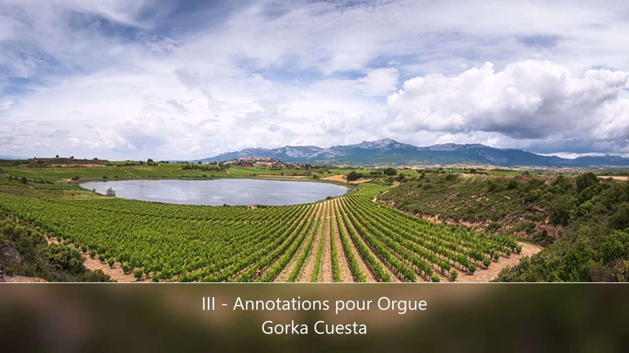 III - Annotations pour Orgue - Gorka Cuesta