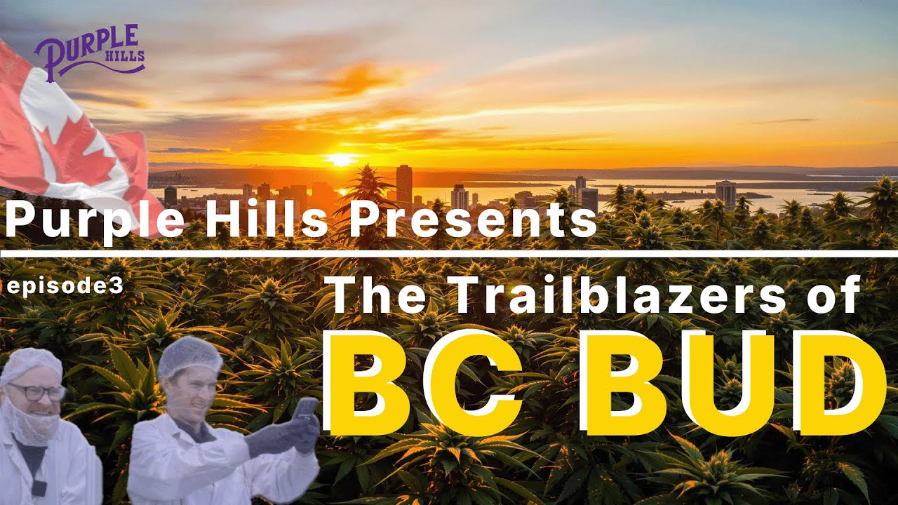 Purple Hills Presents, VCC -- BC BUD at its finest!