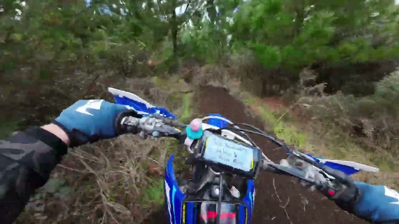Redwoods - Full Lap