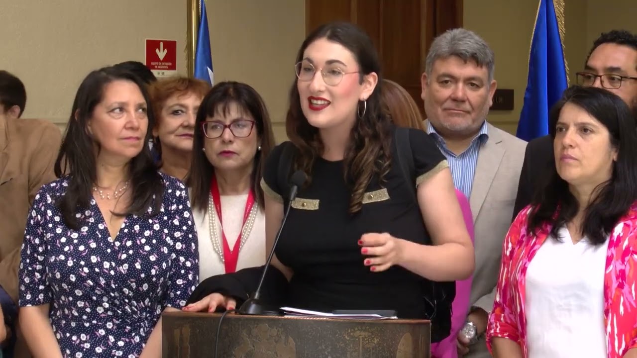A ley titularidad docente y cambios a sistema de Educación Pública