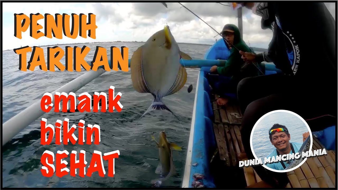 🟥 Mancing begini penuh tarikan‼️emank bikin sehat 💯