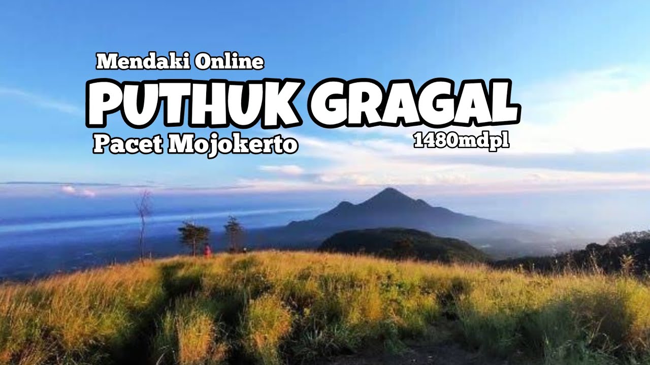 Pendakian PUTHUK GRAGAL 1480mdpl Pacet Mojokerto‼️ Kata Siapa Cocok Untuk Pemula⁉️