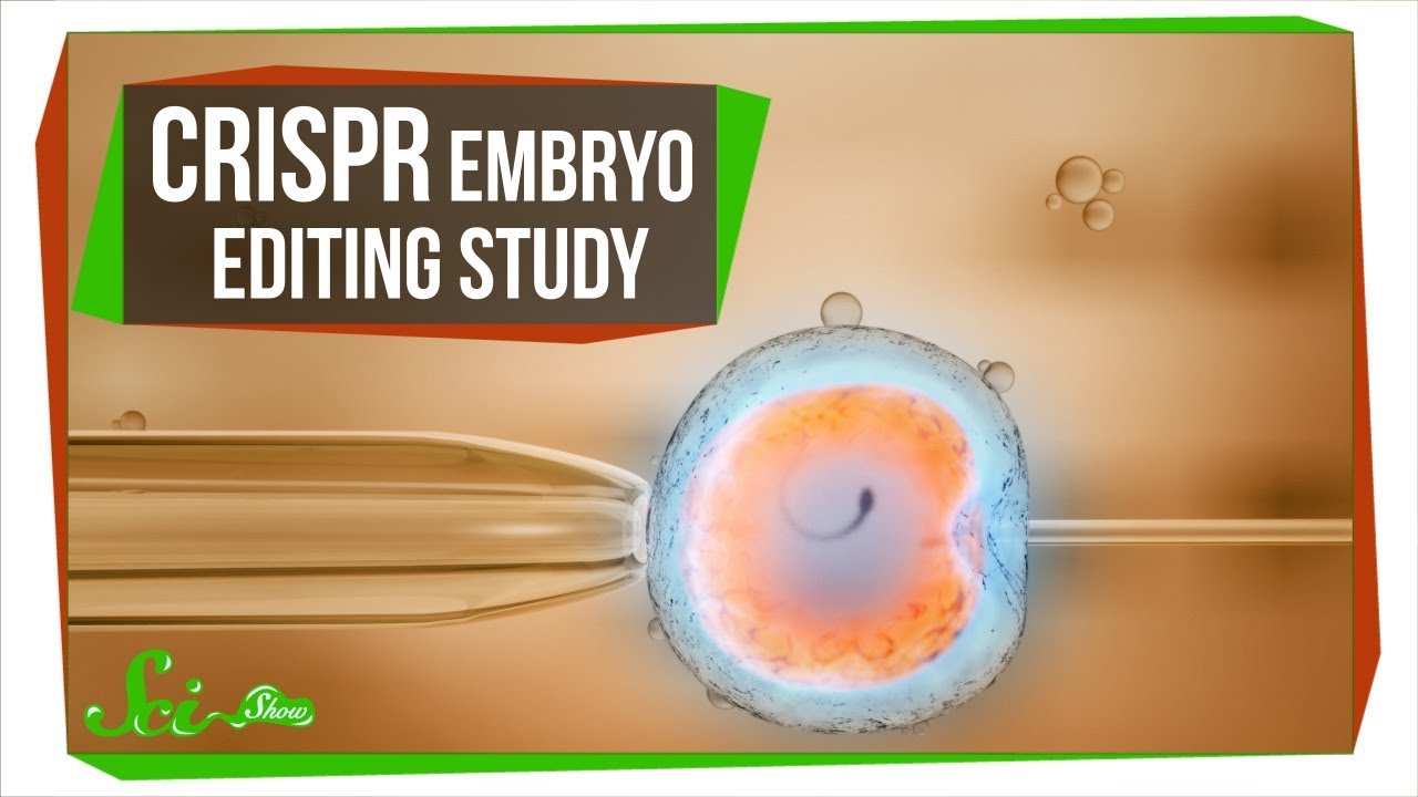 What the CRISPR Embryo Editing Study Really Taught Us