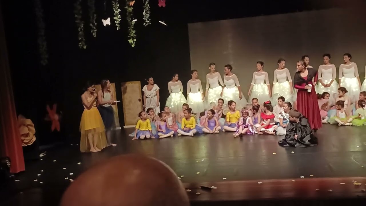 Ballet Teatro 11