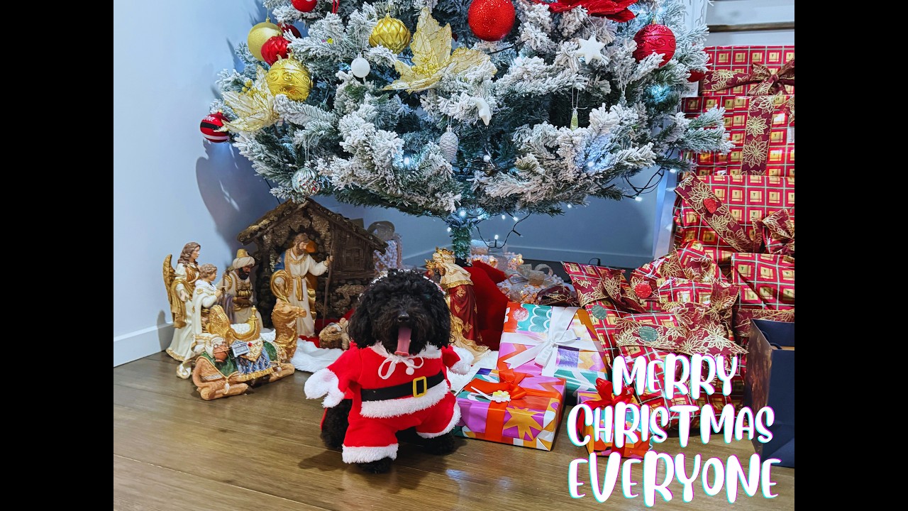 Christmas Edition 🌟