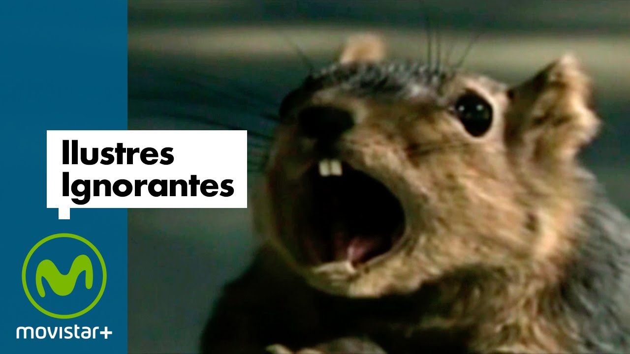 Ilustres Ignorantes - Mundo animal (Parte 1)