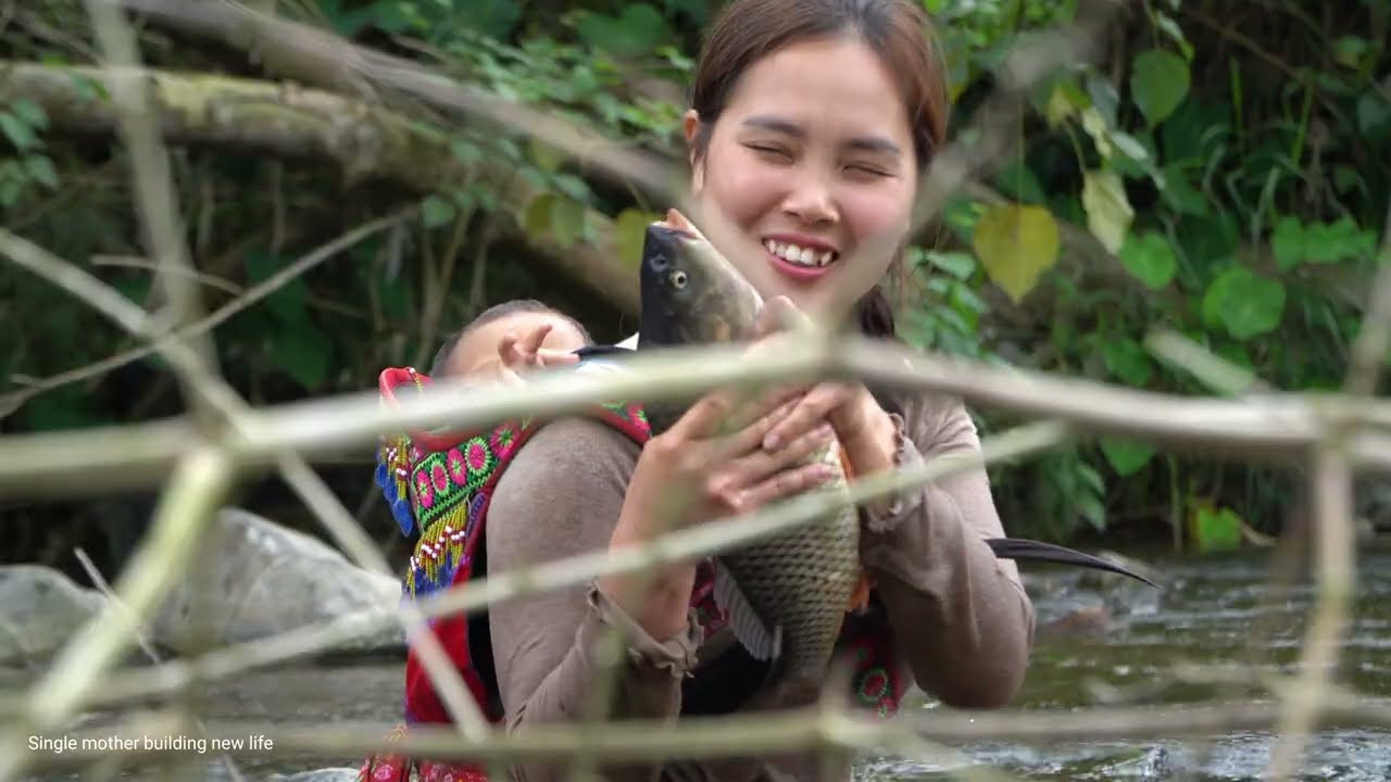 How to trap fish - Catching giant fish to sell at the market - Farm life