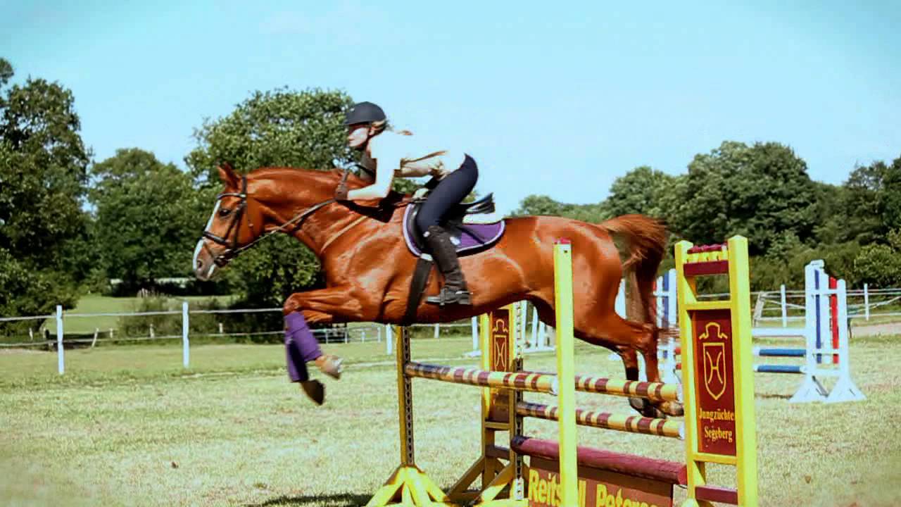 Reitstall Petersen