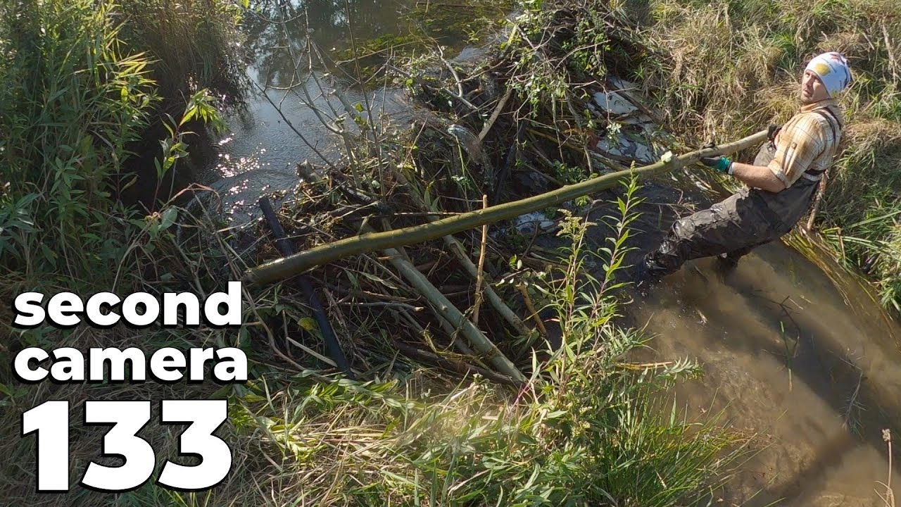 Manual Beaver Dam Removal No.133 - Second Camera