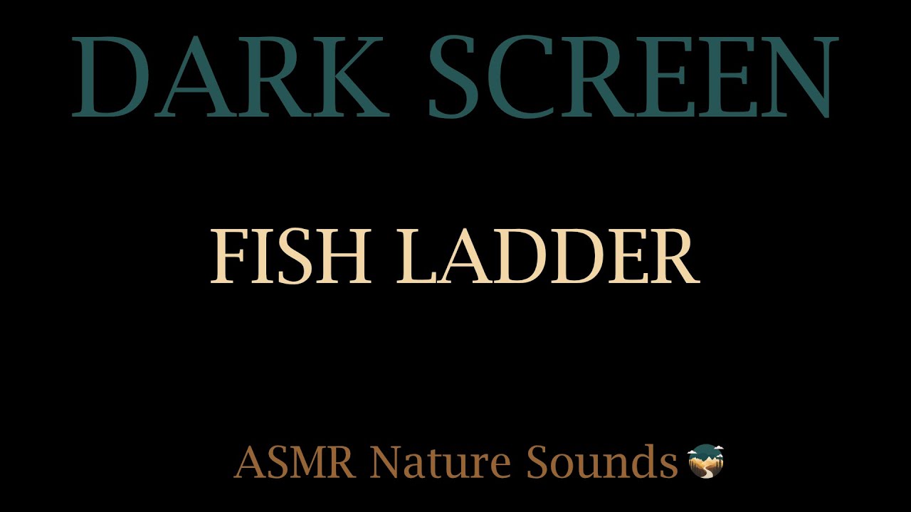 Dark Screen Water Flowing Fish Ladder for Relaxing, sleep, study, meditation &bull; whitenoise