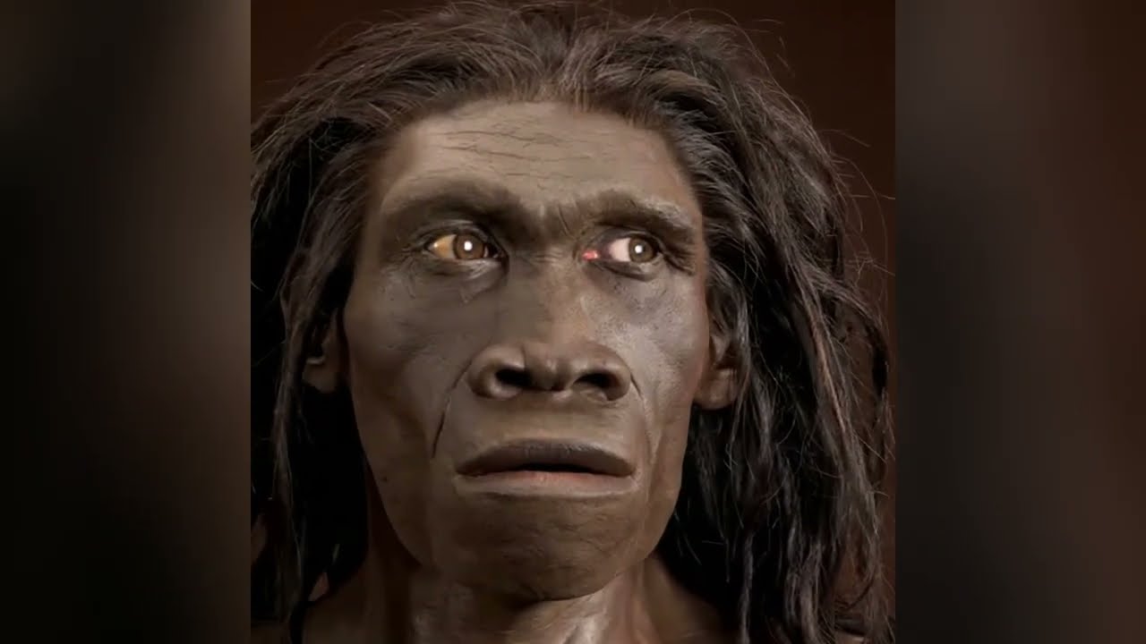 HOMO ERECTUS &ndash; Pierwszy człowiek drogi i ognia