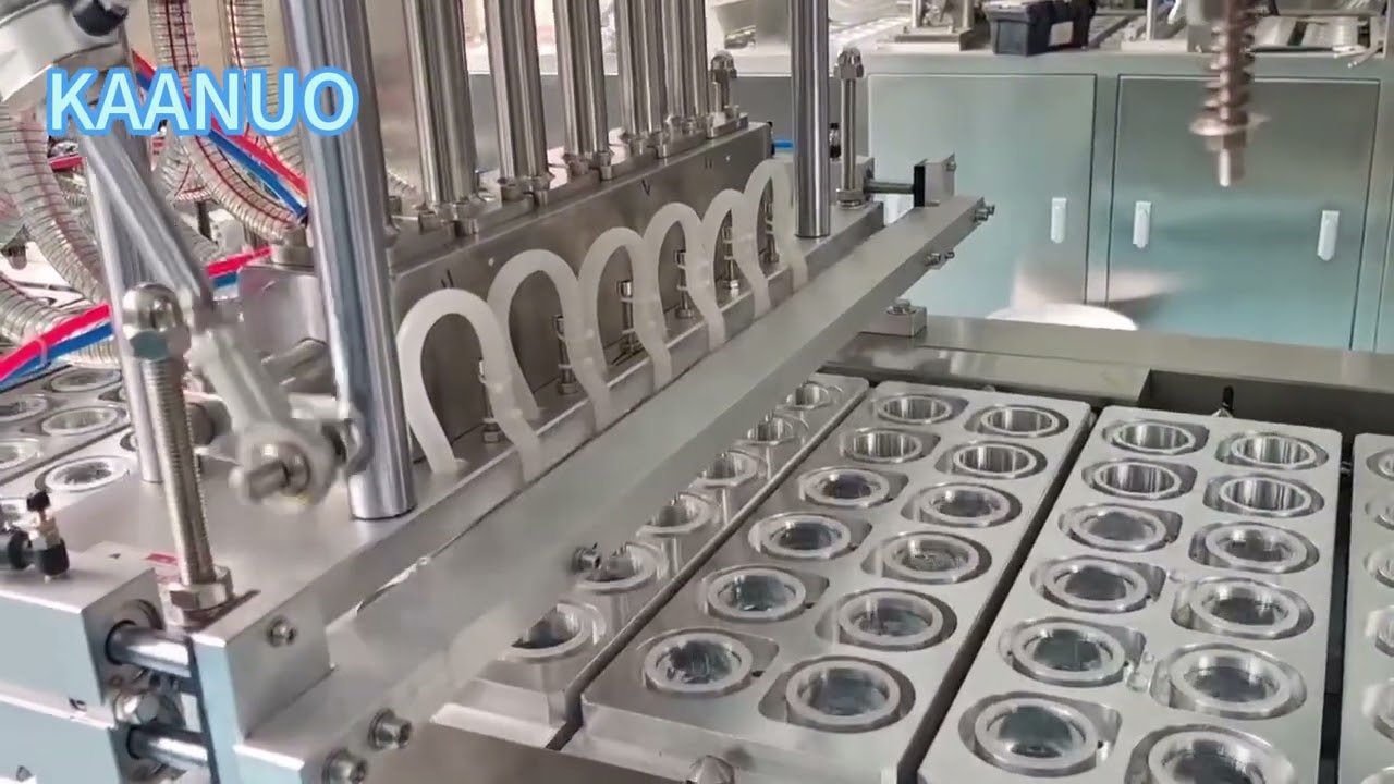 6 head water cup filling sealing machine  8 head 12 head customized  washing could also coutomize 2