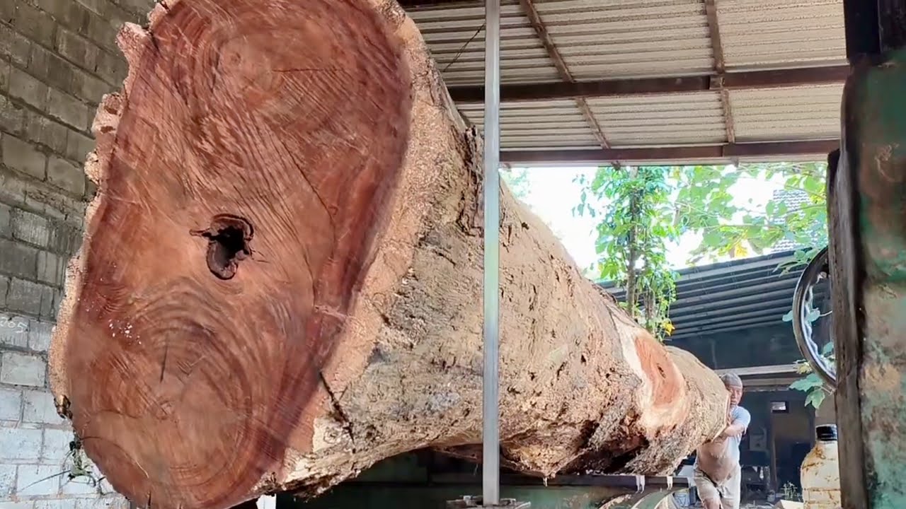 🌲Потрясающе!! Столетняя гигантская тиковая древесина на лесопилке🌲