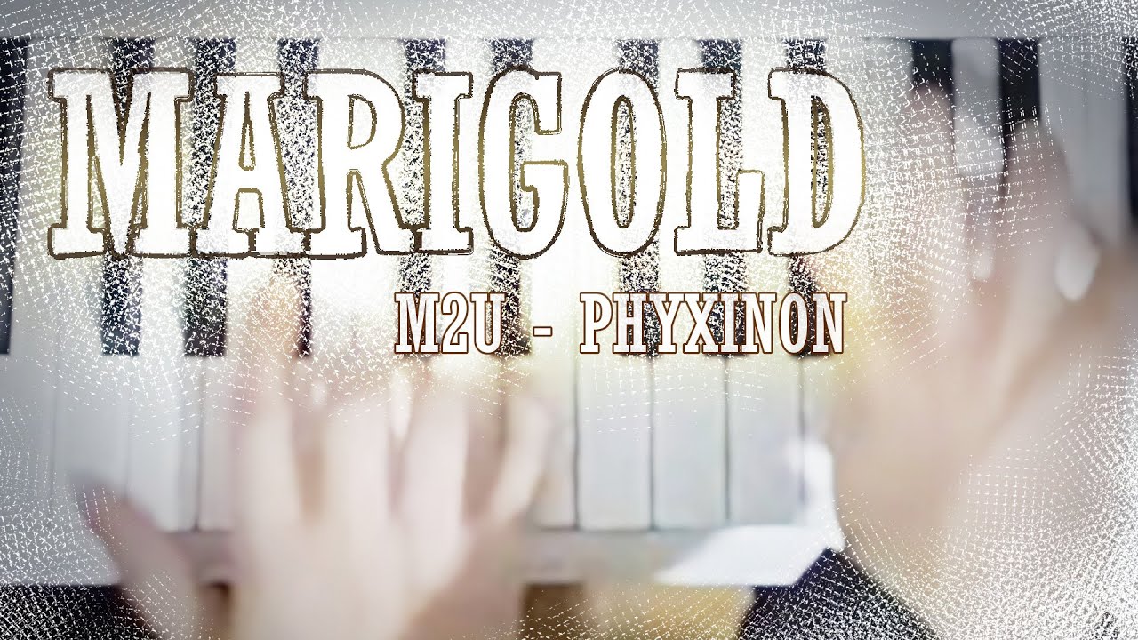 Phyxinon - Marigold (Top View)