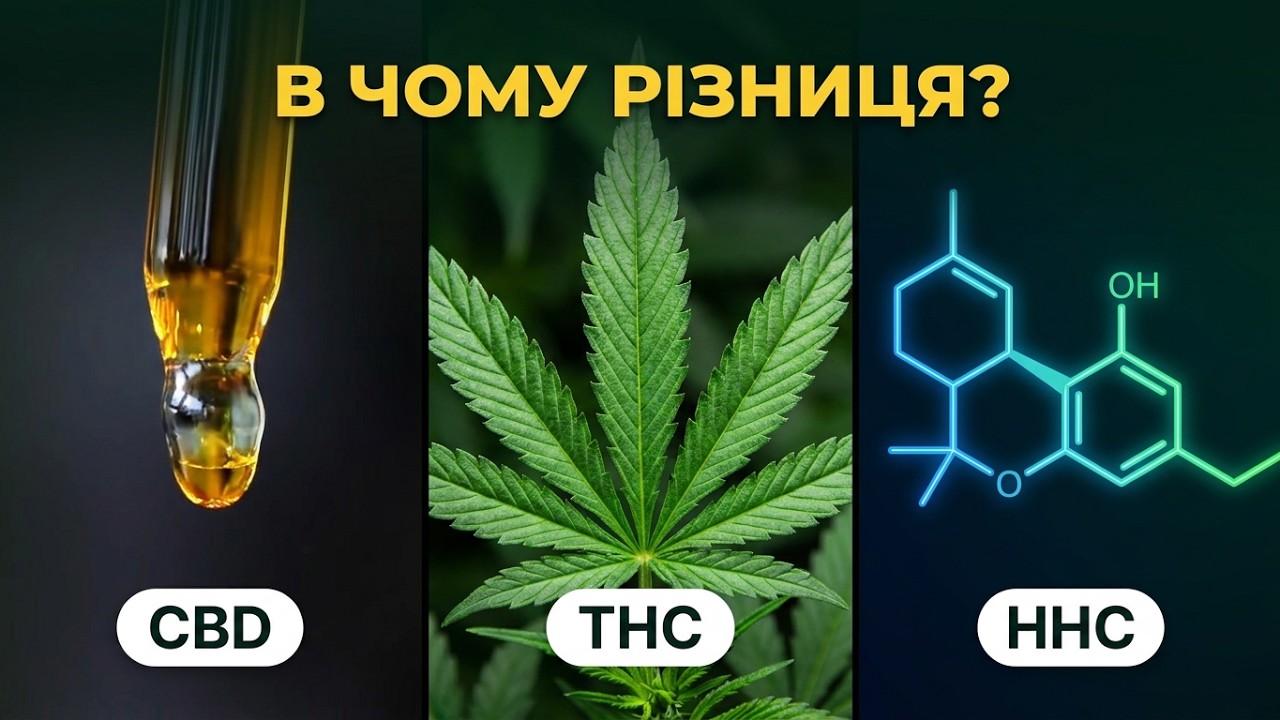 КОНОПЛЯ, МЕДИЧНИЙ КАНАБІС та МАРИХУАНА | Що таке CBD, THC та HHC?