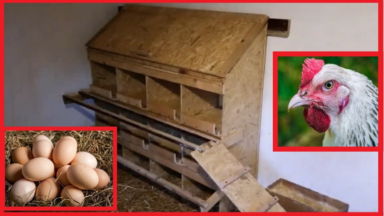 Project Chicken Coop # 1 DIY Строительство 8 гнезд для цыплят с выдвижными ящиками