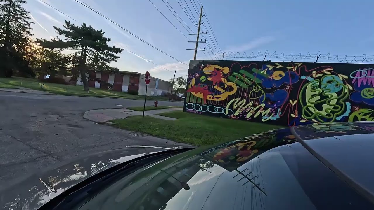 MICHIGAN HOODS! Detroit, Mack ave, pt1
