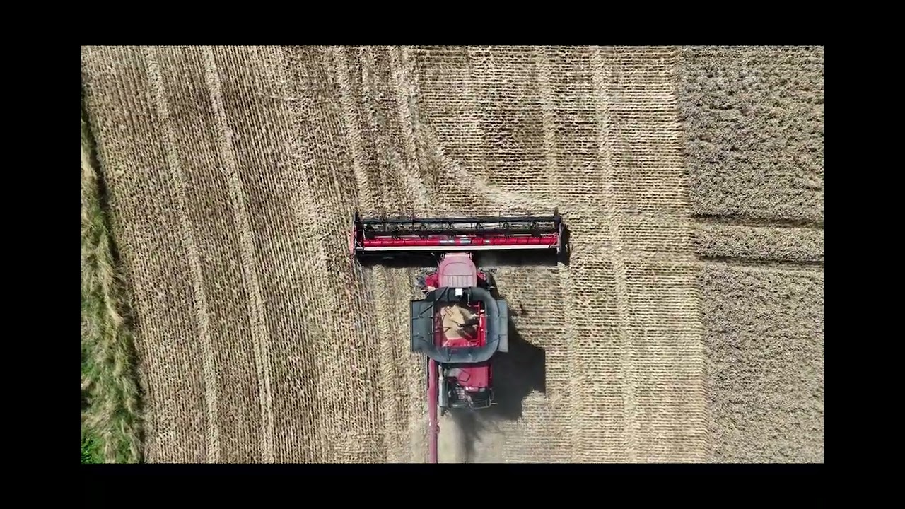 Harvest time in Northamptonshire featuring a Case iH harvesting