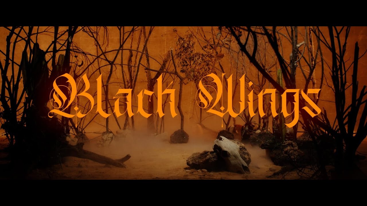 PARADISE IN FLAMES - BLACK WINGS (Official Video)