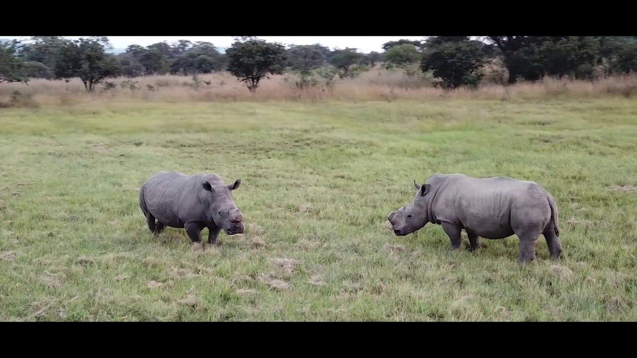Zimbabwe A World Of Wonders Destination Video 2019 (Long Version)