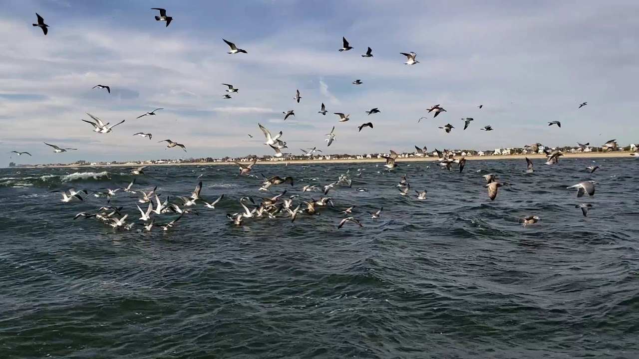RI to KEY WEST - LOST FOOTAGE of day 3 NYC to ATLANTIC CITY