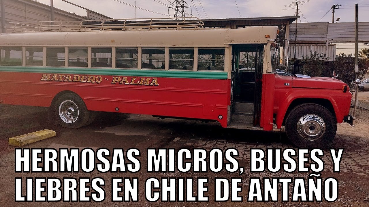 HERMOSAS MICROS, BUSES Y LIEBRES CON CHILE DE ANTAÑO