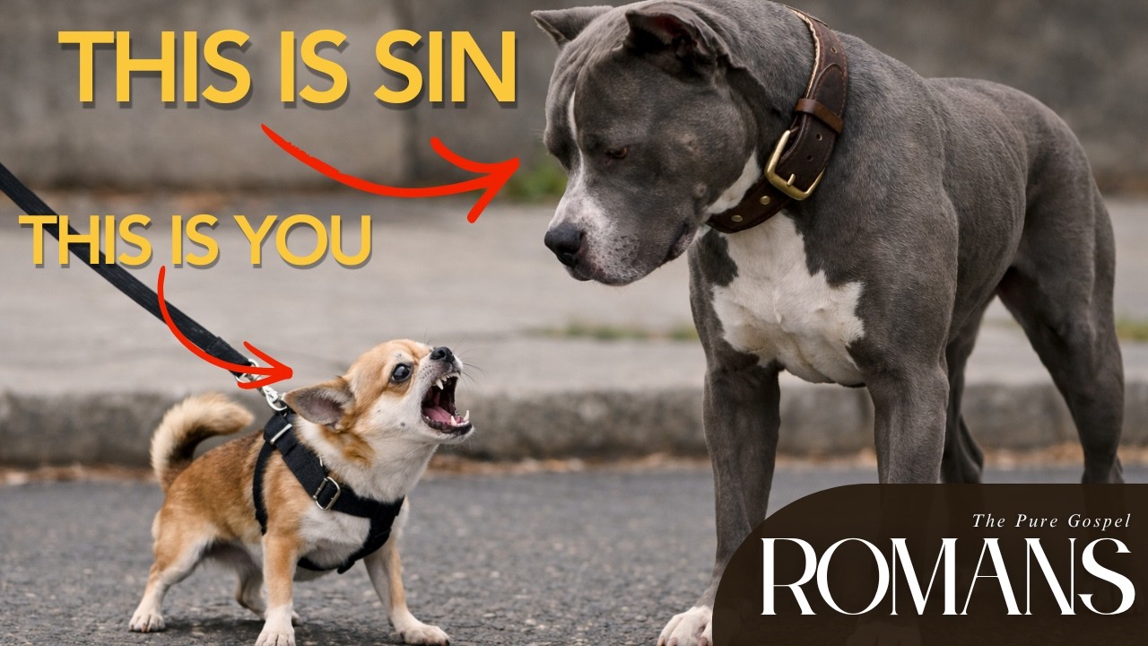When God Removes the Leash (Romans 1:25–32 Phrase by Phrase)