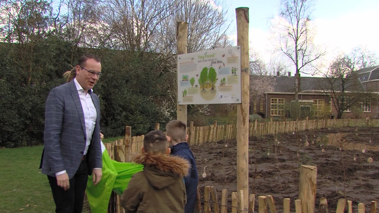 Basisschool Noorderlicht heeft nu een Tiny Forest