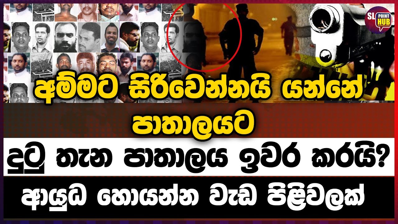 දුටු තැන පාතාලයට ඉවර කරයි? | Sl point hub | #slpointhub #srilanka #news #pathalaya
