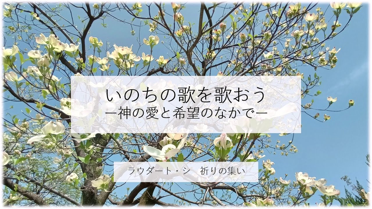 ラウダート・シ 祈りの集い「いのちの歌を歌おう―神の愛と希望のなかで―」