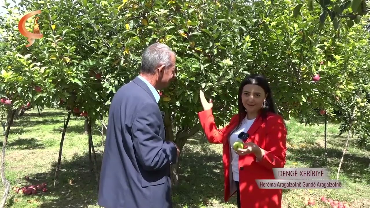 Deng&ecirc; Xeribiy&ecirc;  | M&ecirc;van  Ş&ecirc;x Tahir