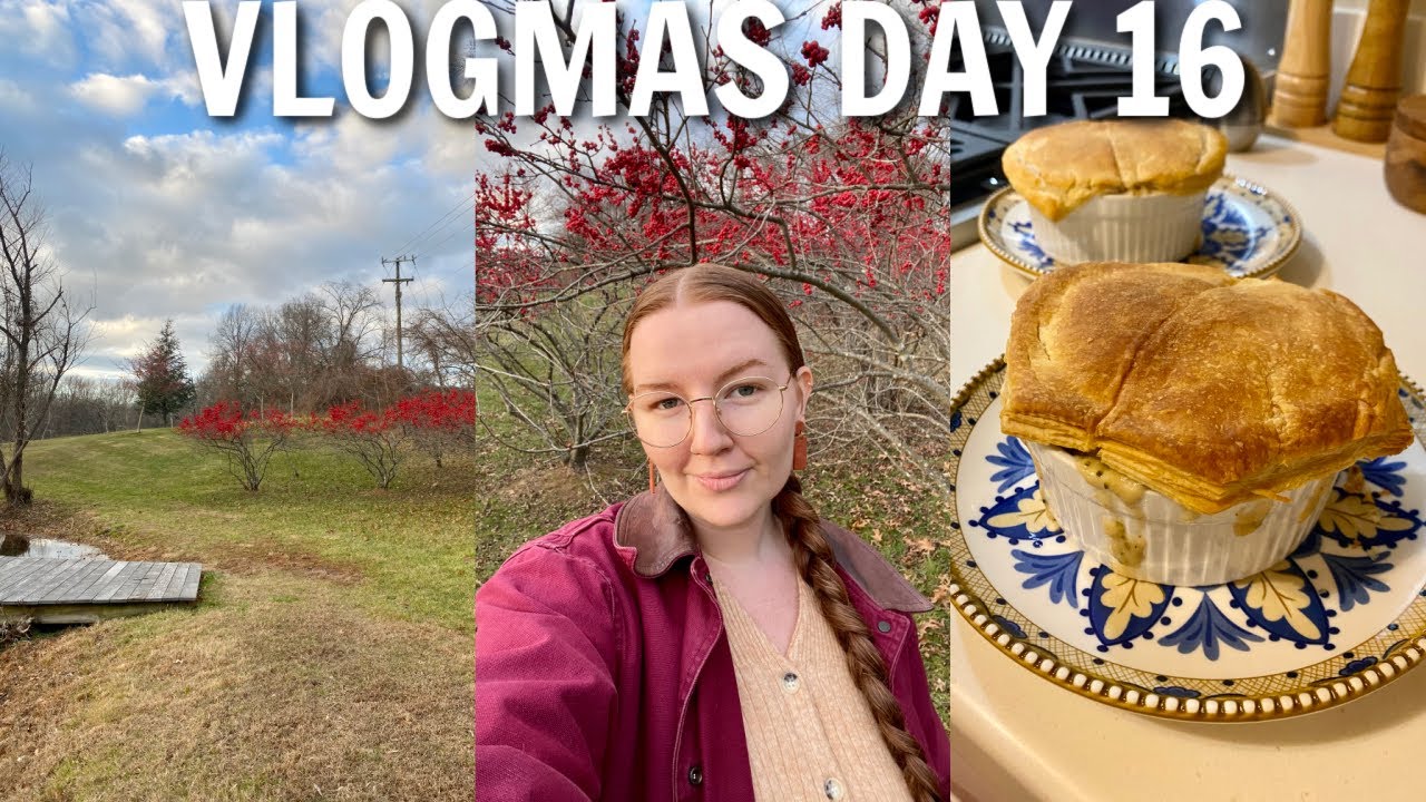 VLOGMAS DAY 16 | errand day, grocery haul, & hot toddies!
