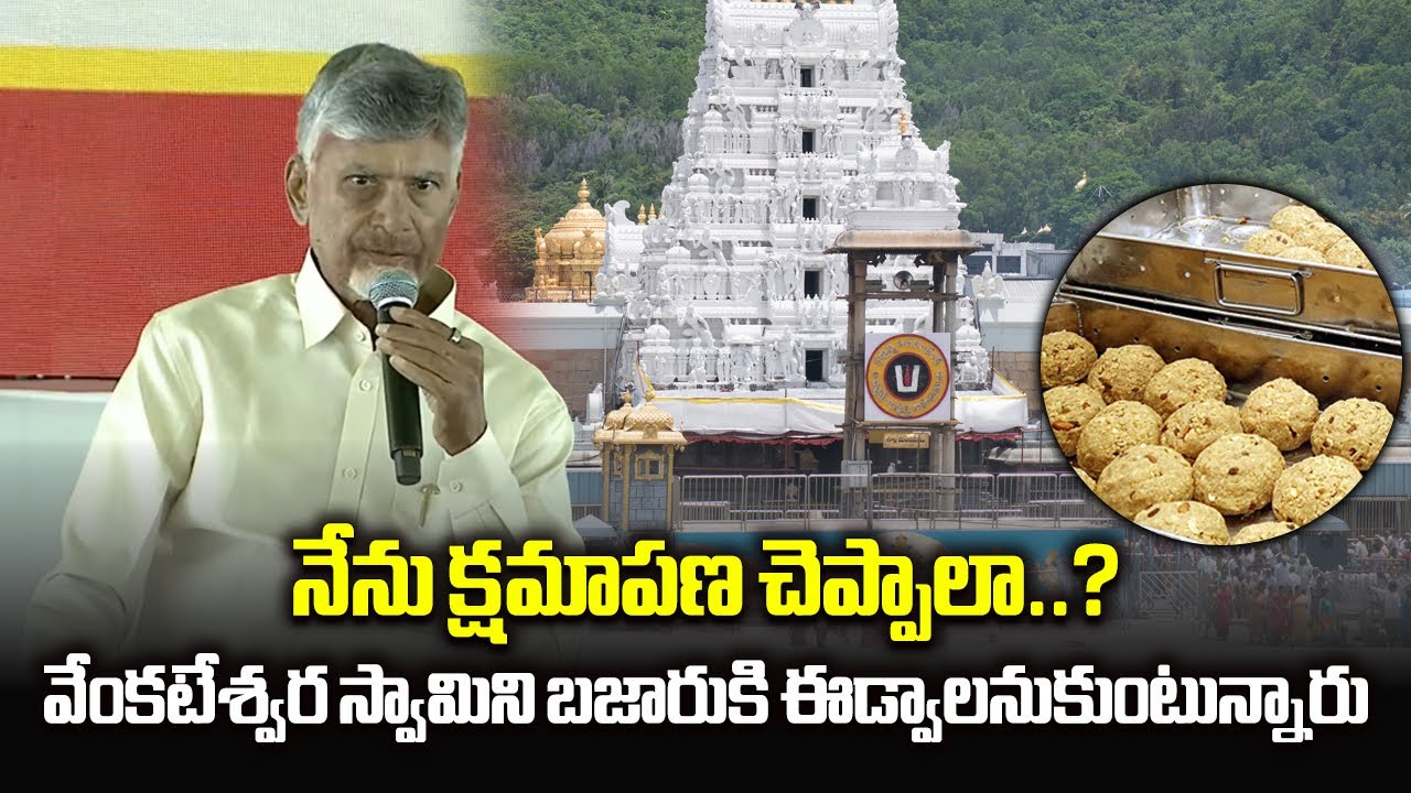 Should I Apologize? Chandrababu Naidu first Reaction on Tirupati Laddu CBI SIT report